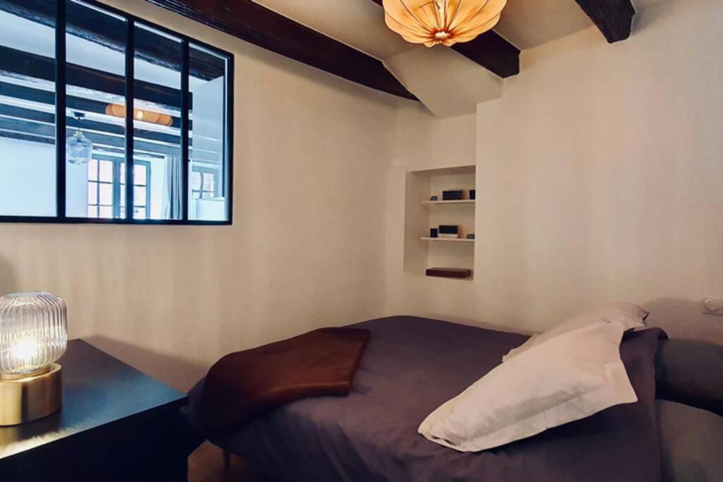Le Carnot 2 Etoiles Hypercentre Vieille Ville Annecy Esterno foto