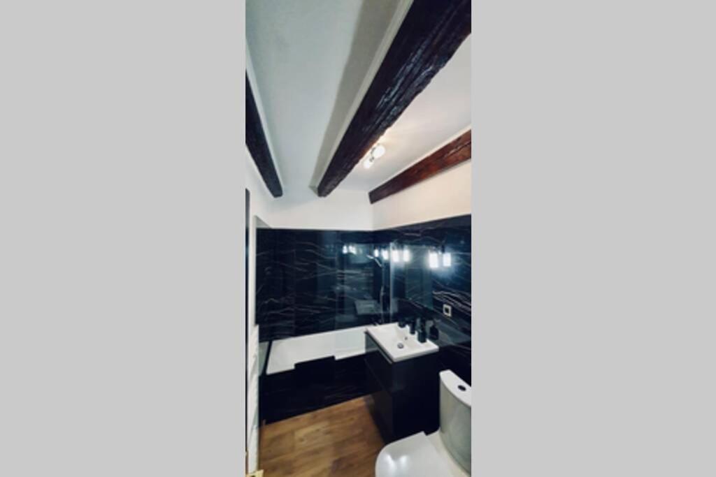 Le Carnot 2 Etoiles Hypercentre Vieille Ville Annecy Esterno foto